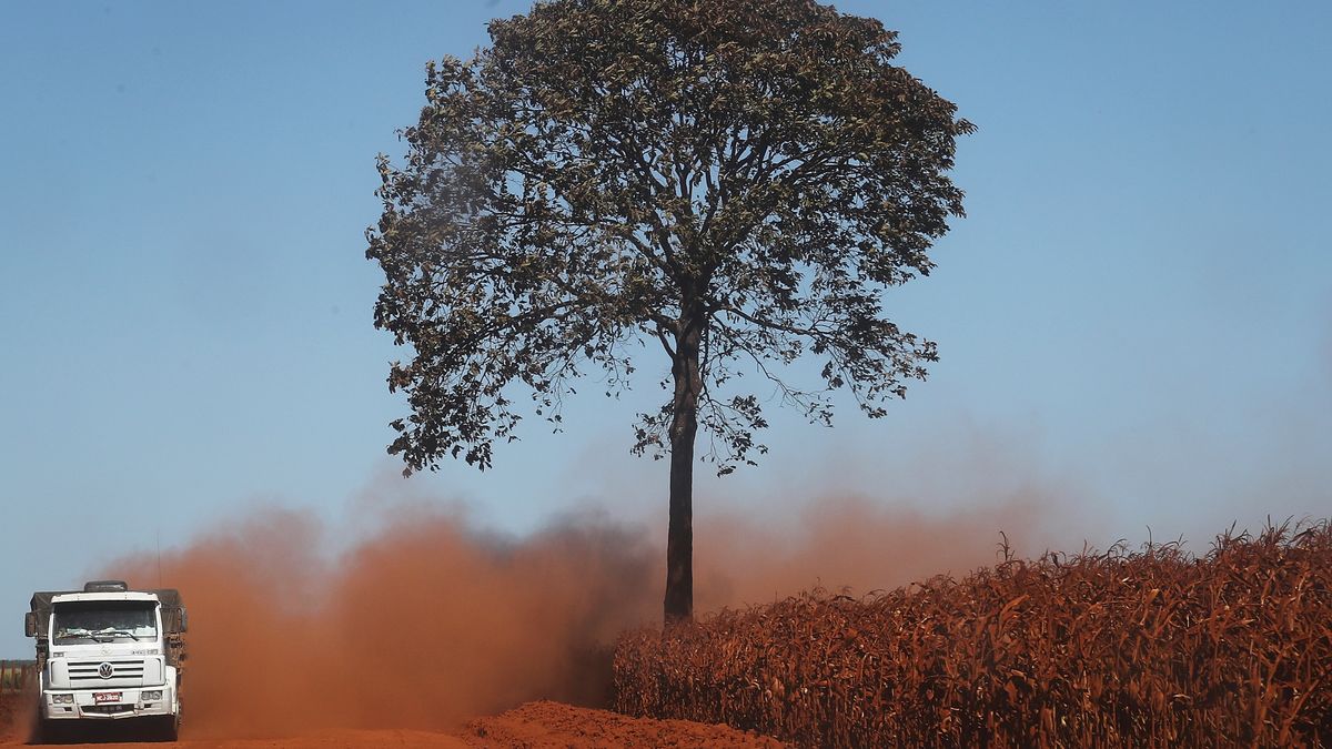 A truck kicks up dirt as it passes a farm field in a deforested section of the Amazon